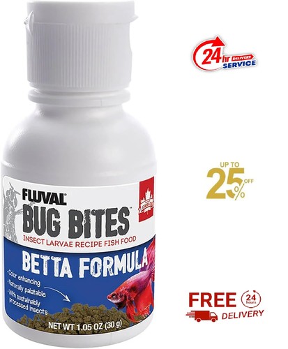 Bug bites betta - bug, fish